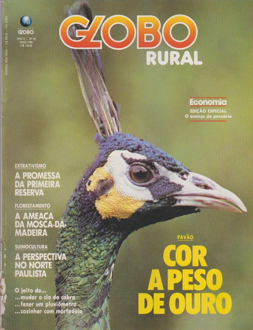 Globo Rural de outubro destaca a revolução da inseminação artificial em  tempo fixo - Revista Globo Rural