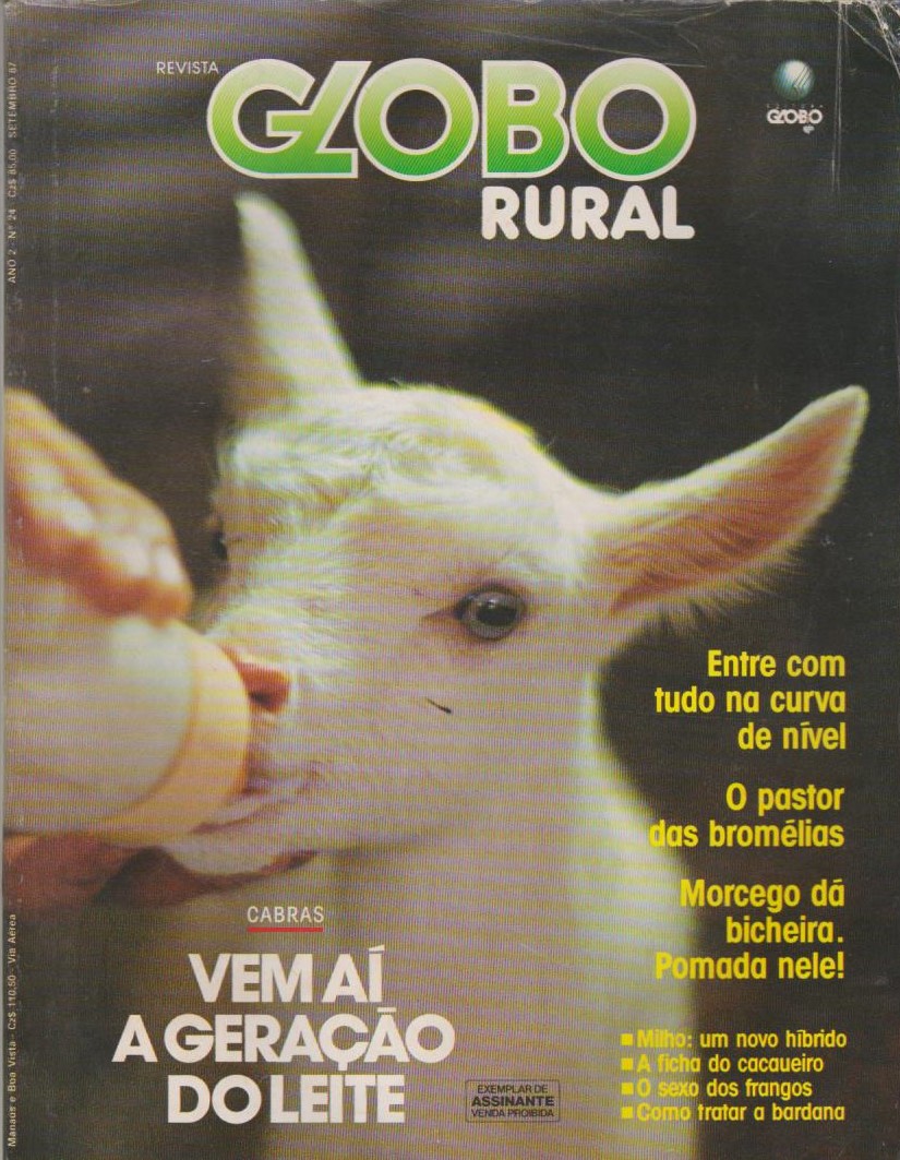 Revista Globo Rural